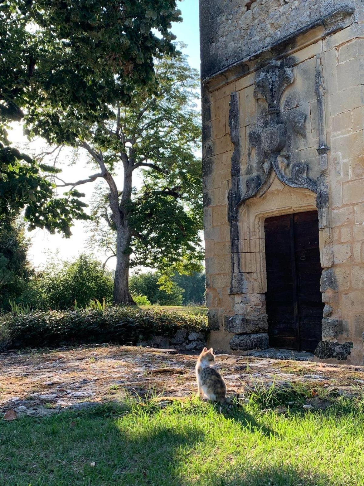 Chateau De Monsac Bagian luar foto